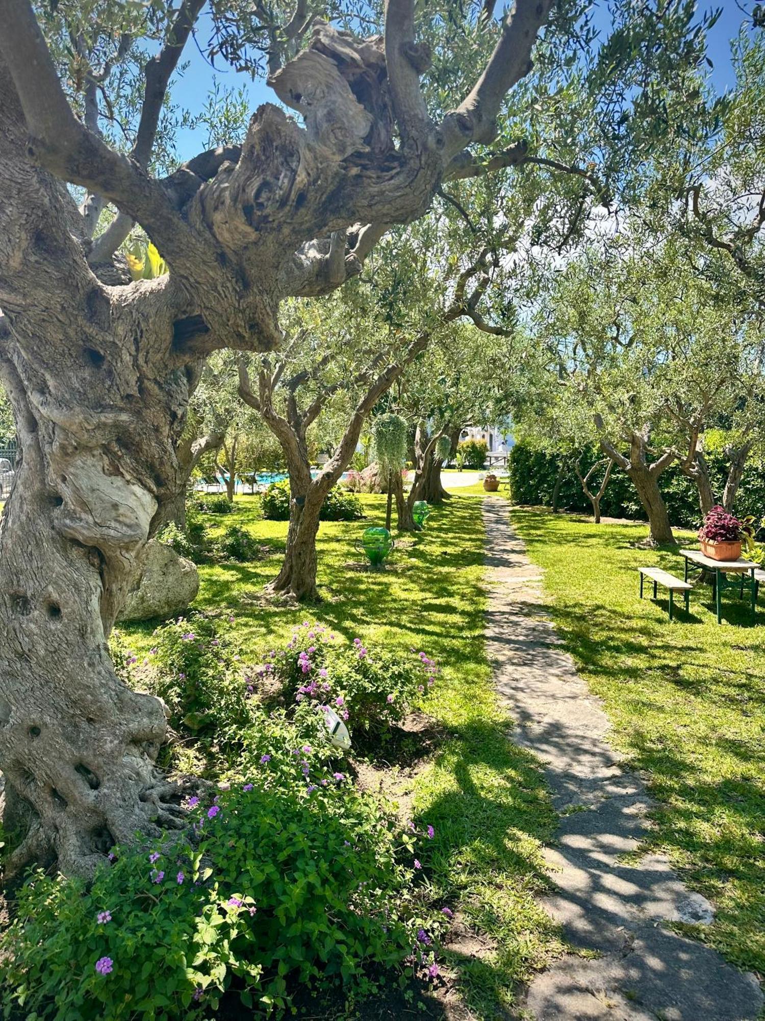 Hotel Boutique Ischia Eksteriør bilde