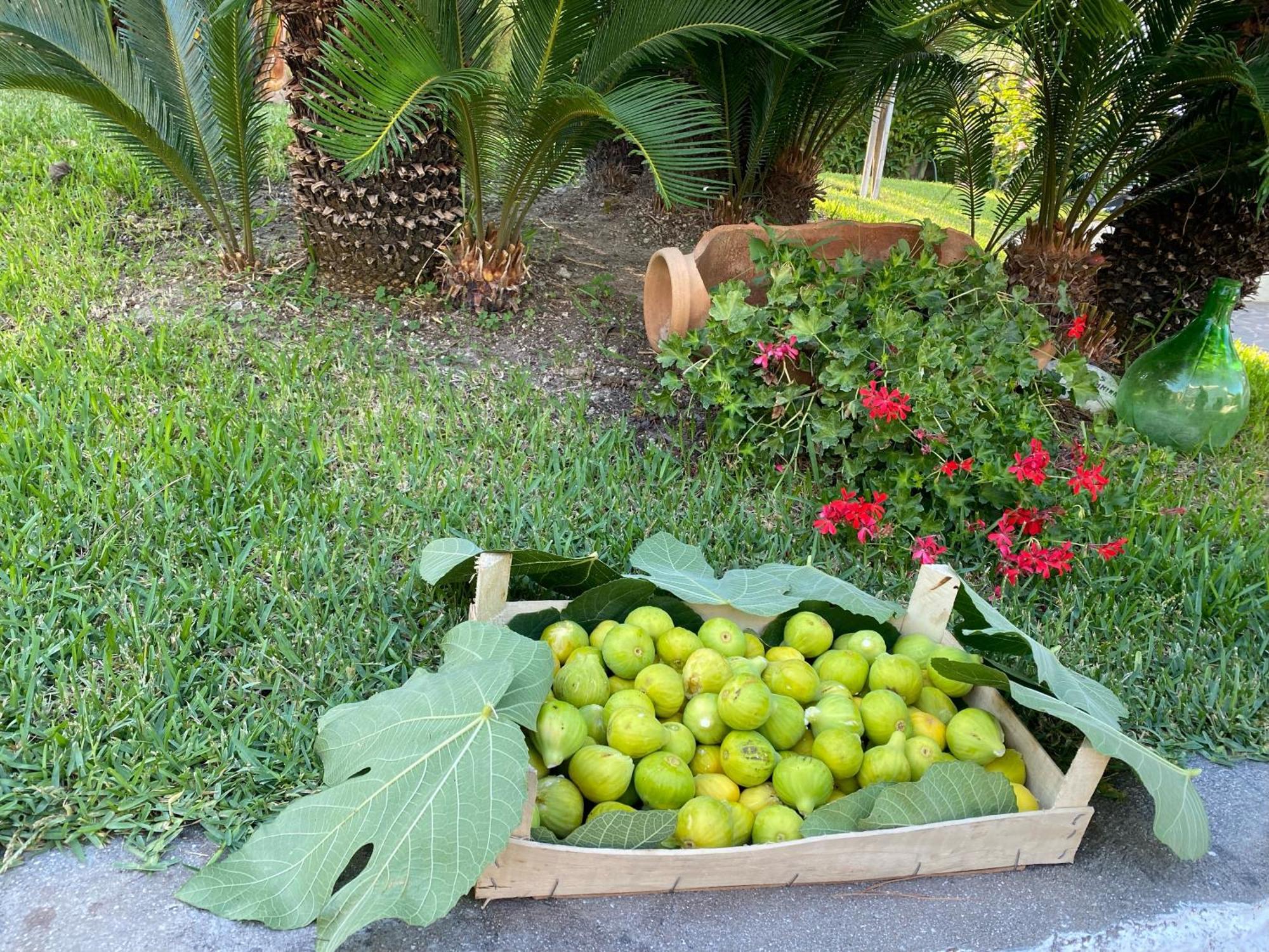 Hotel Boutique Ischia Eksteriør bilde