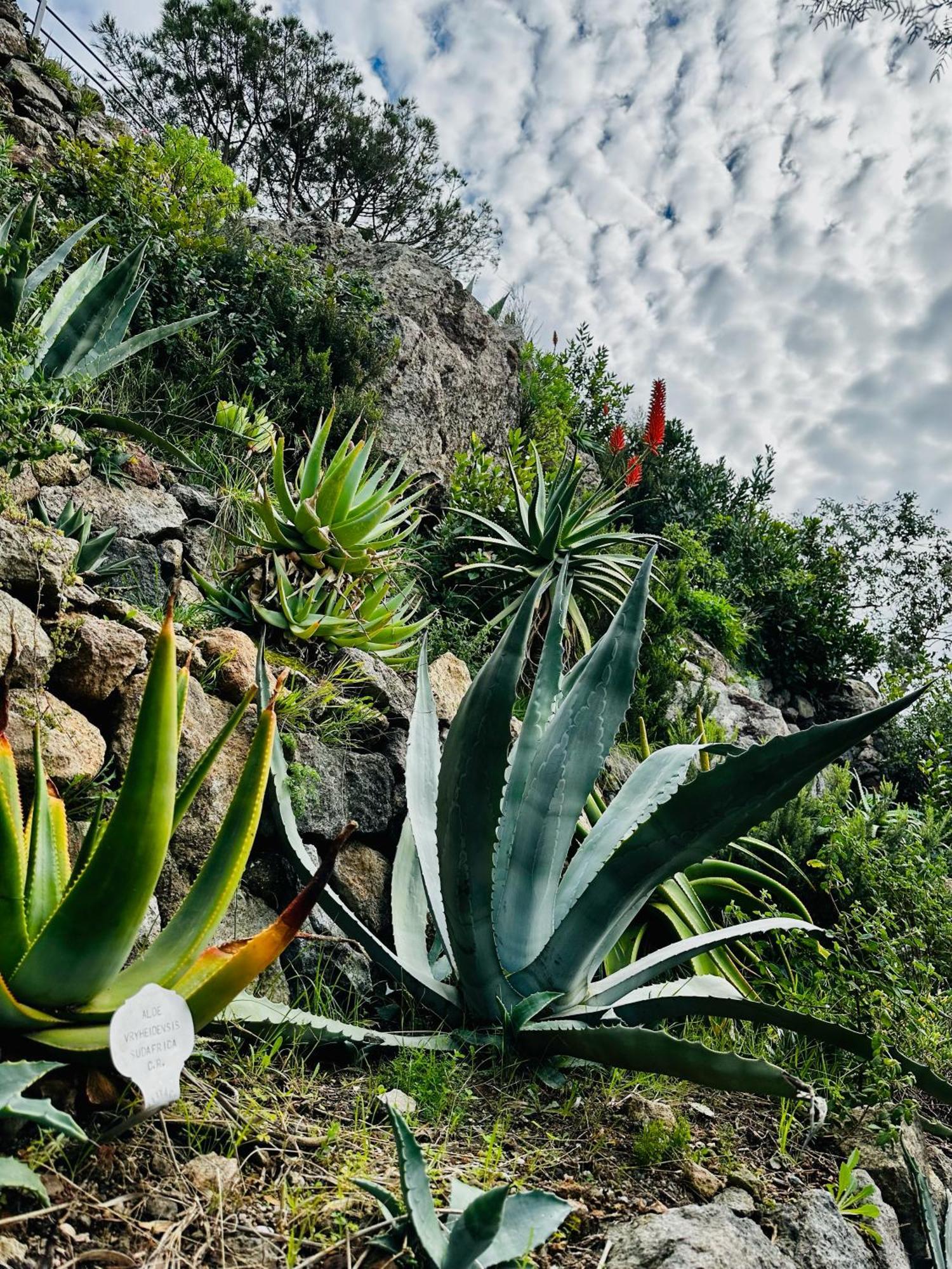 Hotel Boutique Ischia Eksteriør bilde