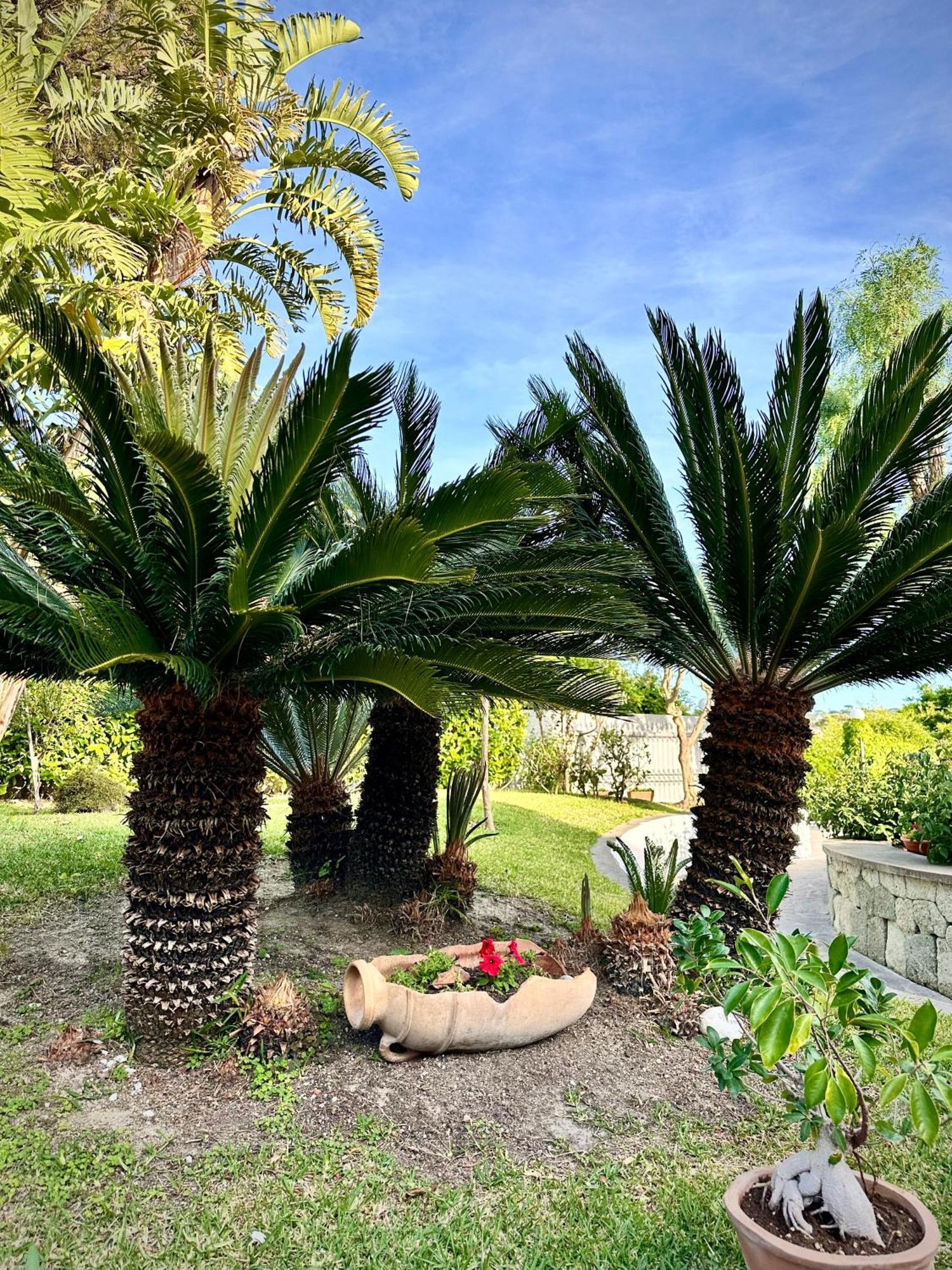 Hotel Boutique Ischia Eksteriør bilde